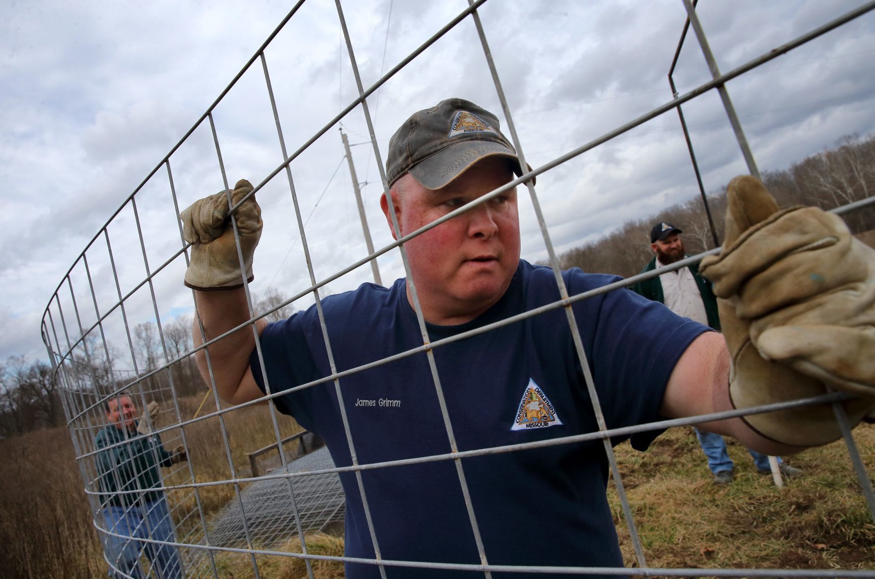 Controlling Missouri's feral hog population